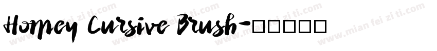 Homey Cursive Brush字体转换